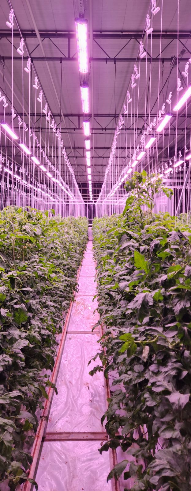 изображение_viber_2023-05-19_09-34-55-456