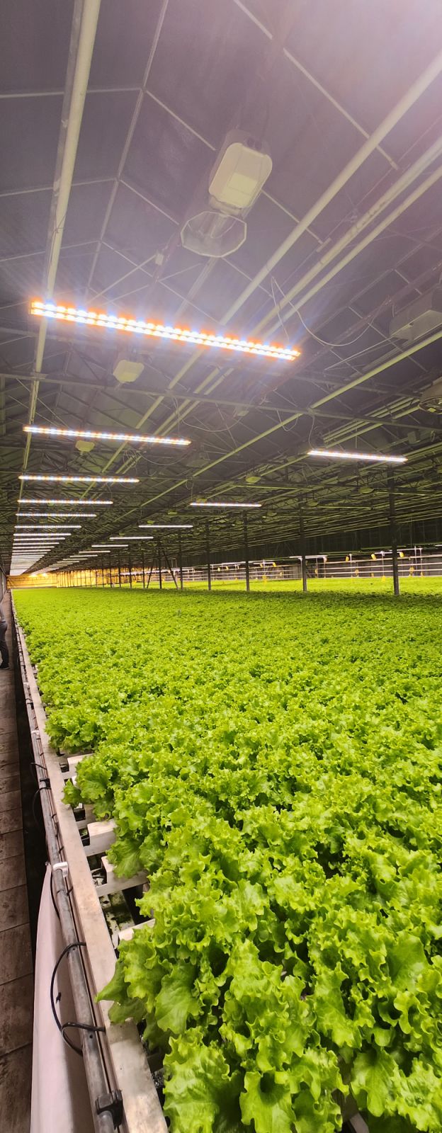 изображение_viber_2023-05-19_09-35-18-396