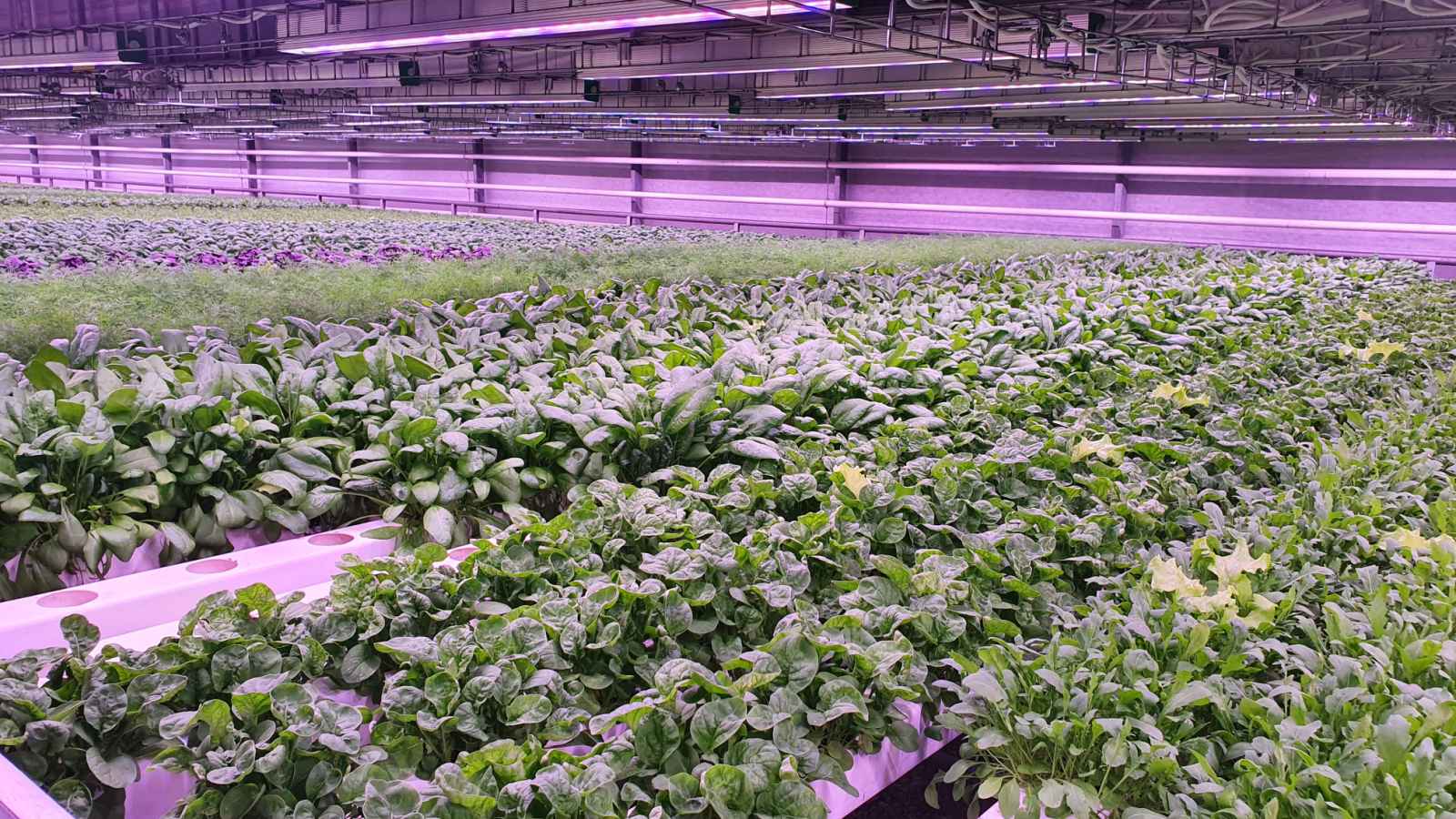 изображение_viber_2023-05-19_09-36-58-861