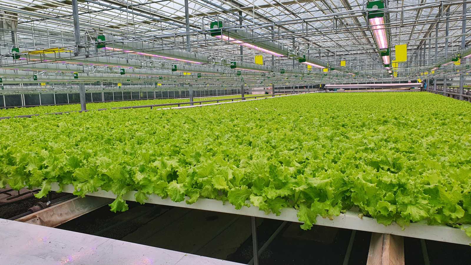 изображение_viber_2023-05-19_09-36-59-019