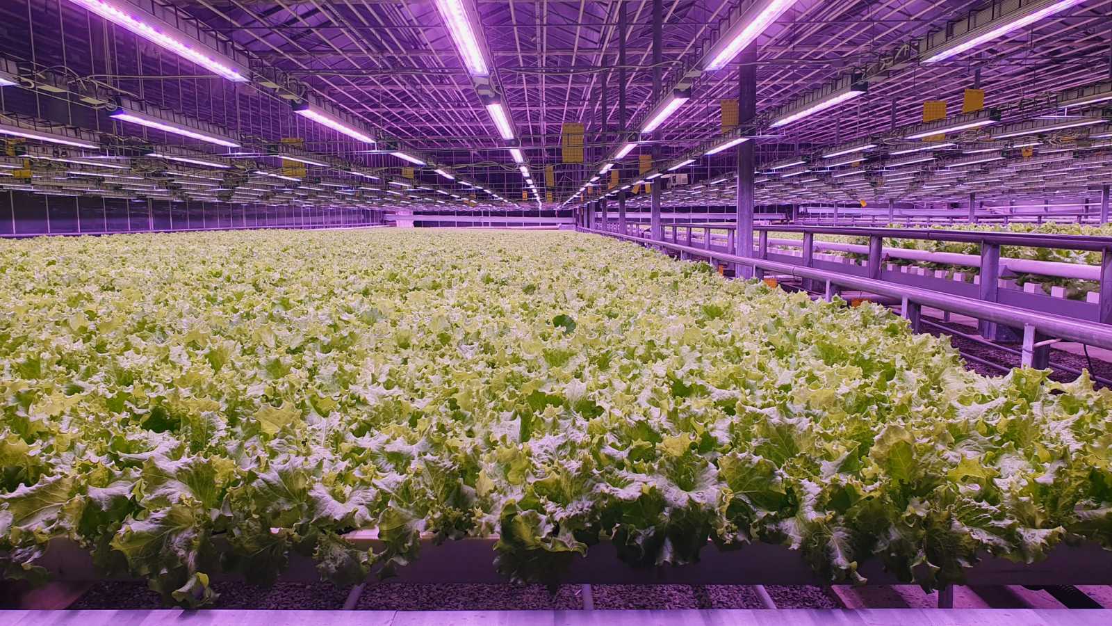 изображение_viber_2023-05-19_09-36-59-156